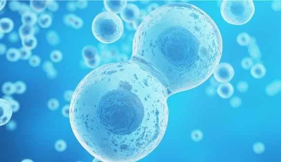 協力会通信（第144号）